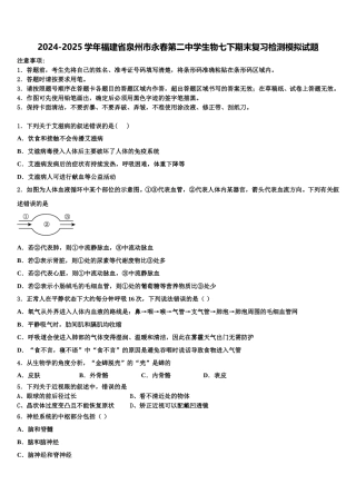 2024-2025学年福建省泉州市永春第二中学生物七下期末复习检测模拟试题含解析