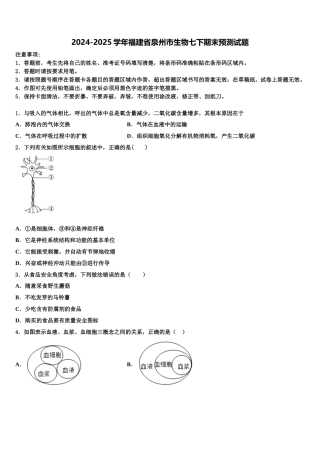 2024-2025学年福建省泉州市生物七下期末预测试题含解析