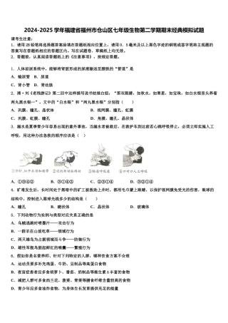 2024-2025学年福建省福州市仓山区七年级生物第二学期期末经典模拟试题含解析