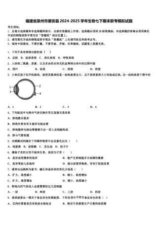福建省泉州市惠安县2024-2025学年生物七下期末联考模拟试题含解析