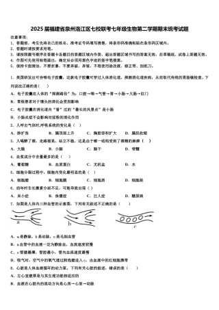 2025届福建省泉州洛江区七校联考七年级生物第二学期期末统考试题含解析