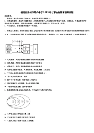福建省泉州市第八中学2025年七下生物期末联考试题含解析