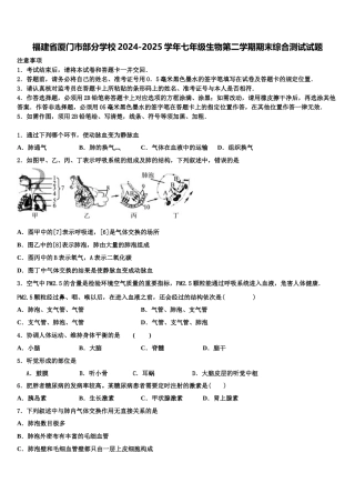 福建省厦门市部分学校2024-2025学年七年级生物第二学期期末综合测试试题含解析