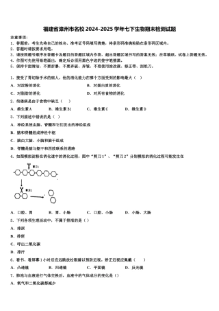 福建省漳州市名校2024-2025学年七下生物期末检测试题含解析