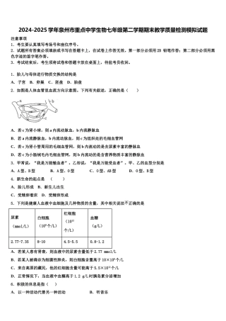 2024-2025学年泉州市重点中学生物七年级第二学期期末教学质量检测模拟试题含解析