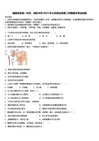 福建省泉港一中学、城东中学2025年七年级生物第二学期期末考试试题含解析