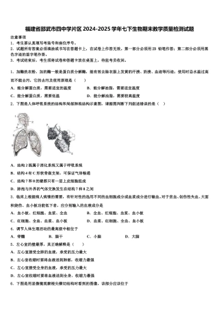 福建省邵武市四中学片区2024-2025学年七下生物期末教学质量检测试题含解析