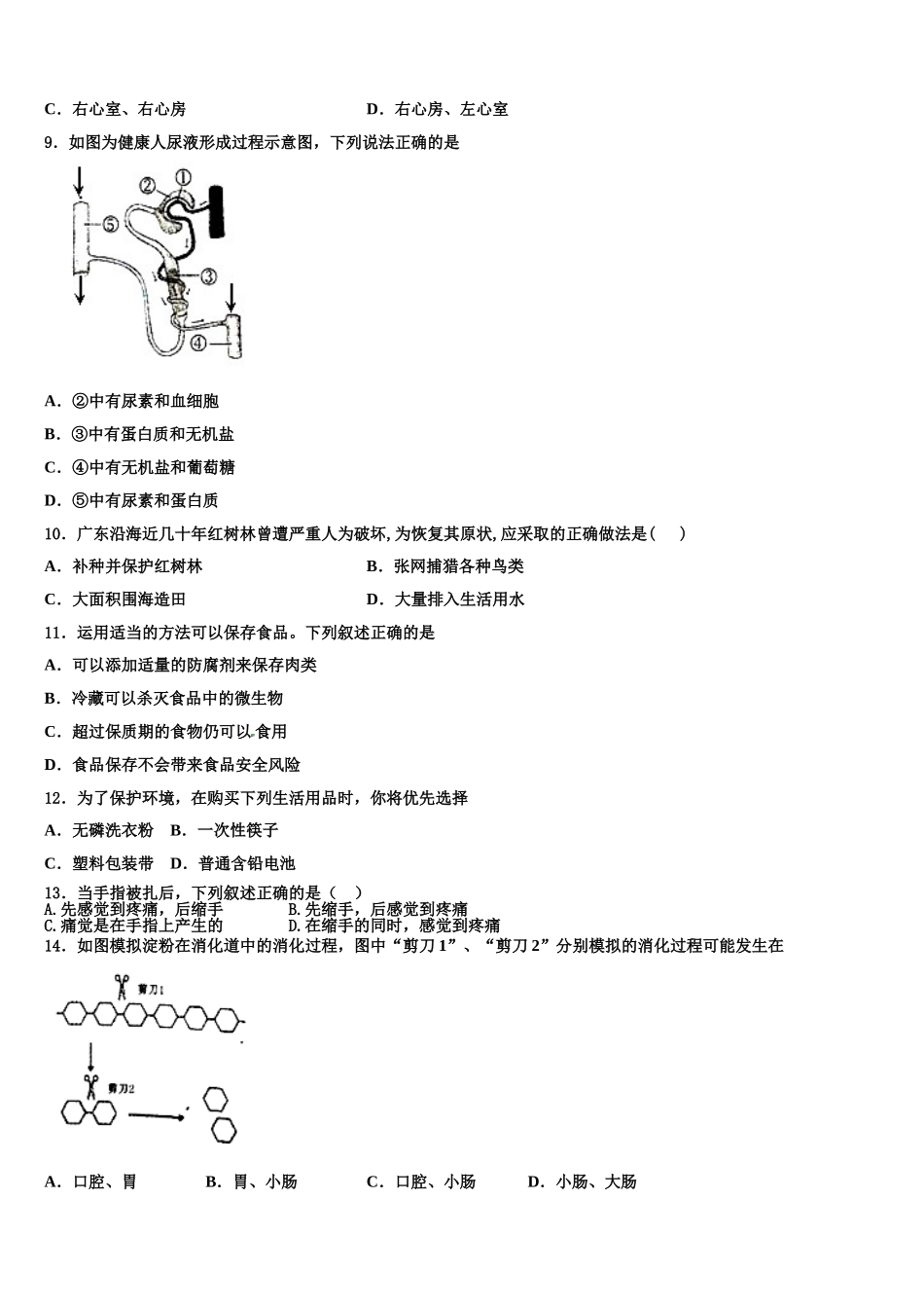2025届福建省泉山市台商投资区七下生物期末经典试题含解析_第2页