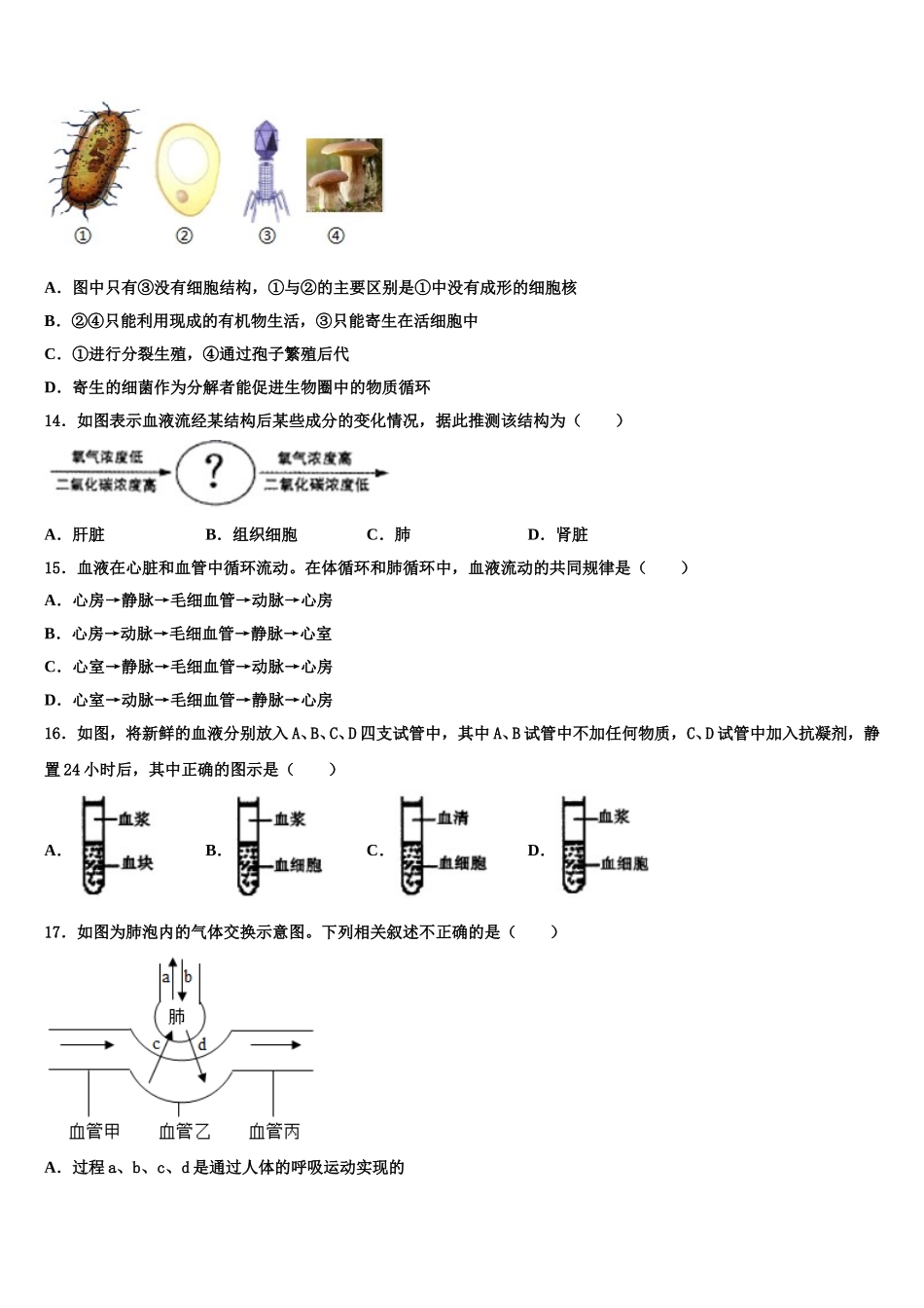 福建省泉港一中学、城东中学2024-2025学年生物七下期末联考试题含解析_第3页