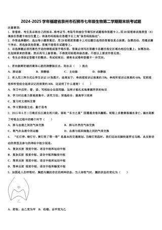 2024-2025学年福建省泉州市石狮市七年级生物第二学期期末统考试题含解析