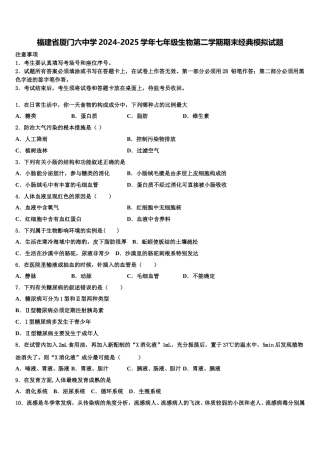 福建省厦门六中学2024-2025学年七年级生物第二学期期末经典模拟试题含解析