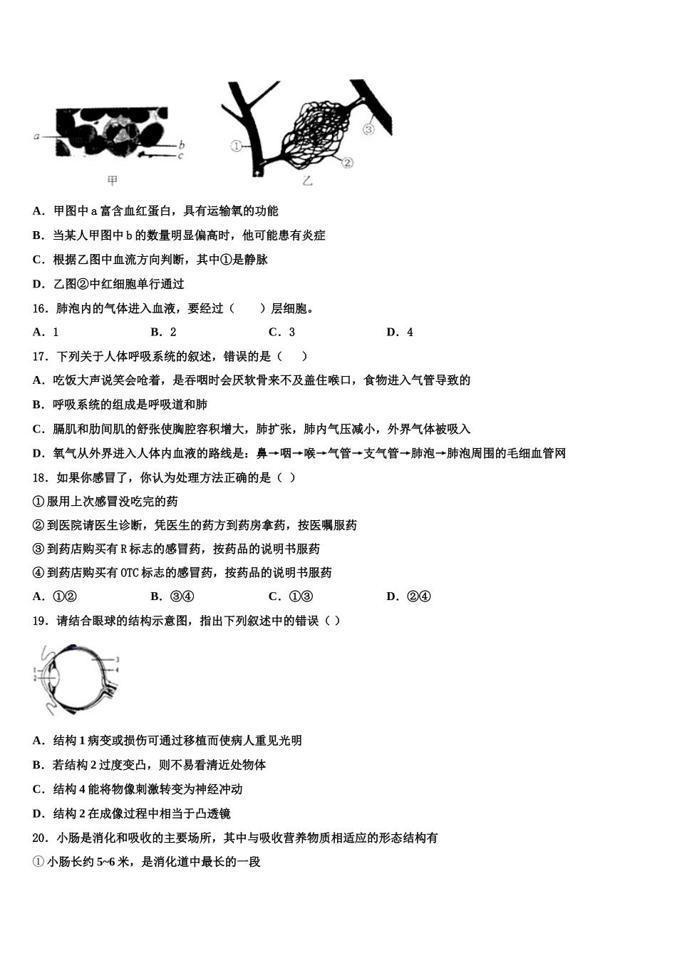 2025年福建省永春县七下生物期末教学质量检测模拟试题含解析_第3页