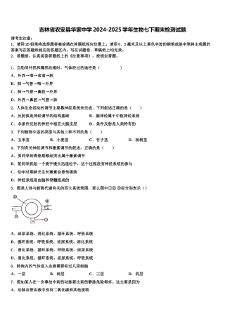 吉林省农安县华家中学2024-2025学年生物七下期末检测试题含解析