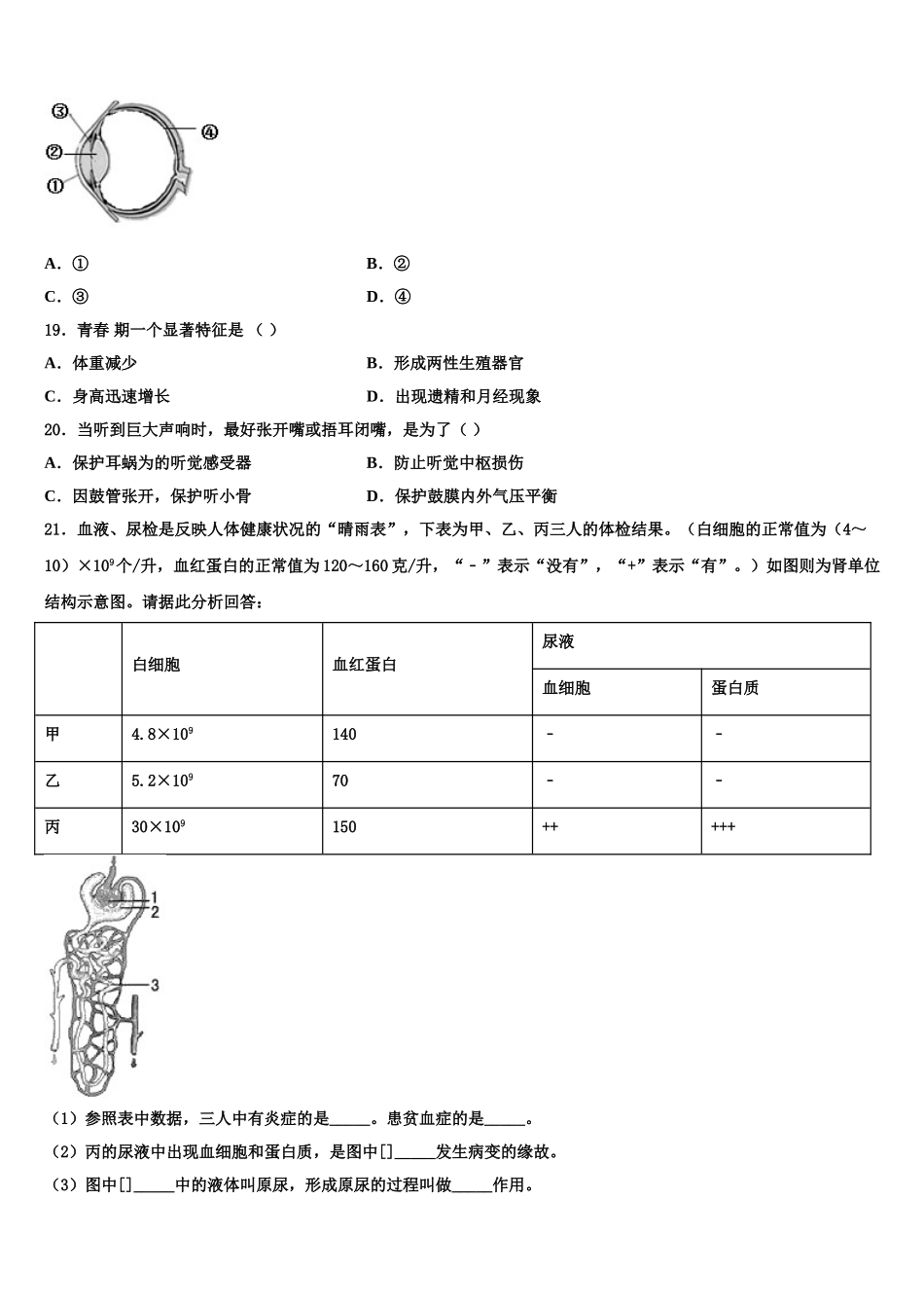 吉林省长春市德惠市第五中学2025届七下生物期末复习检测试题含解析_第3页