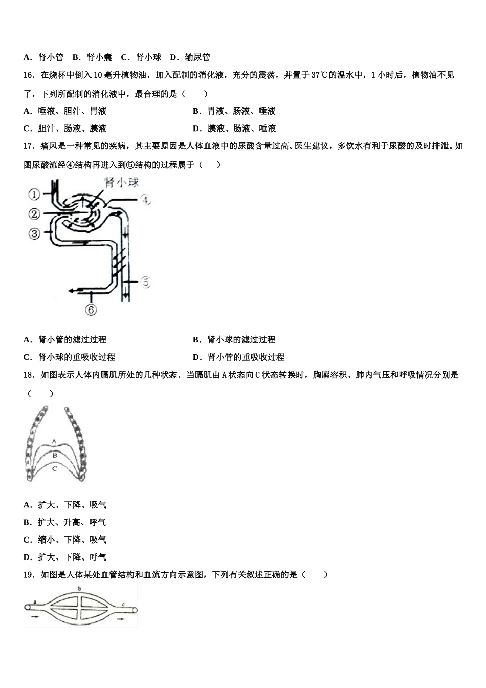 2024-2025学年吉林省汪清县七下生物期末经典模拟试题含解析_第3页
