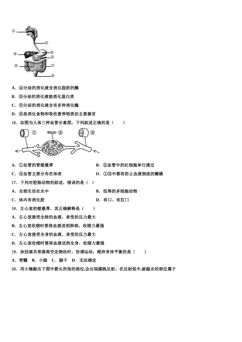 吉林省松原市宁江四中学2025年七年级生物第二学期期末监测试题含解析_第3页