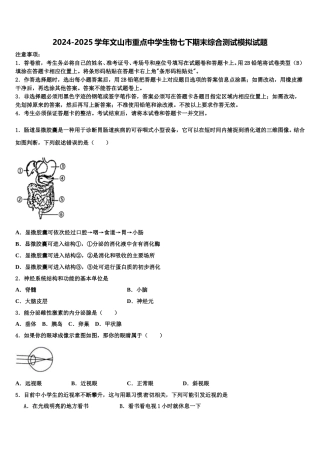 2024-2025学年文山市重点中学生物七下期末综合测试模拟试题含解析