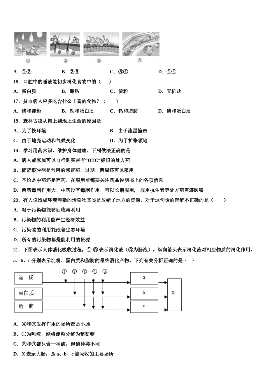 昆明市云南师范大实验中学2025年七下生物期末考试试题含解析_第3页