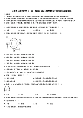 云南省云南大附中（一二一校区）2025届生物七下期末达标测试试题含解析