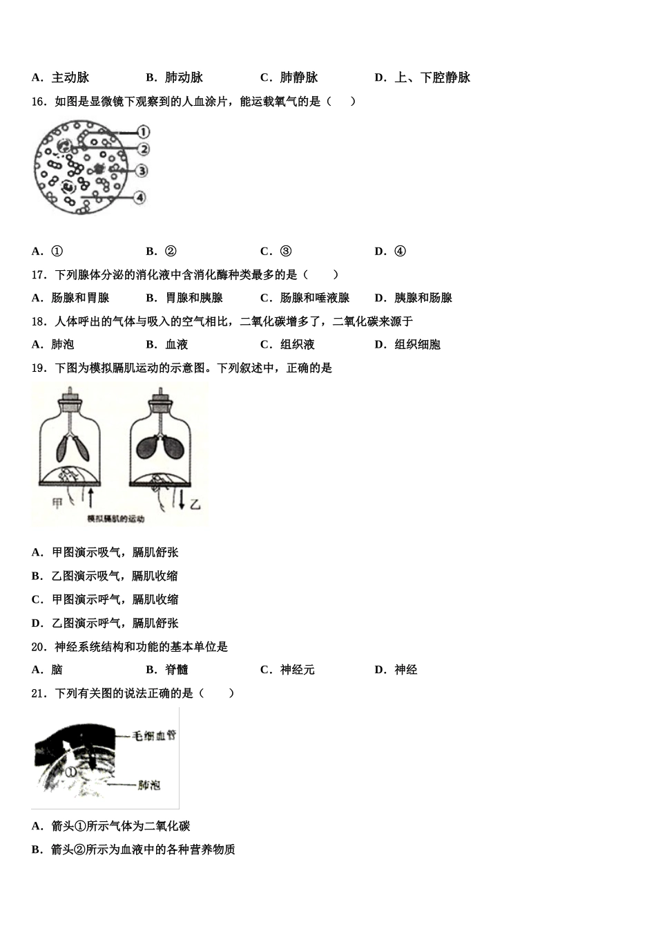 2025年云南省昆明盘龙区联考生物七下期末联考模拟试题含解析_第3页