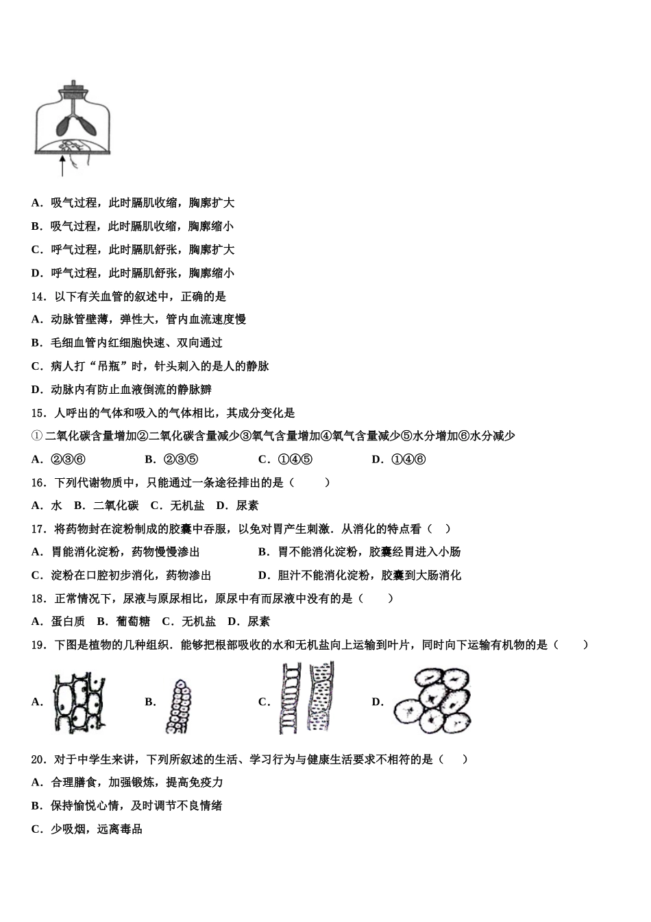 2025届云南省双柏县联考七年级生物第二学期期末教学质量检测模拟试题含解析_第3页