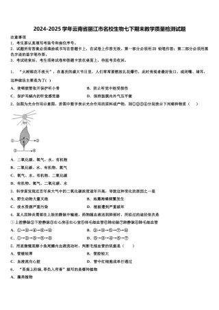 2024-2025学年云南省丽江市名校生物七下期末教学质量检测试题含解析