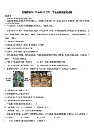 云南弥勒市2024-2025学年七下生物期末预测试题含解析