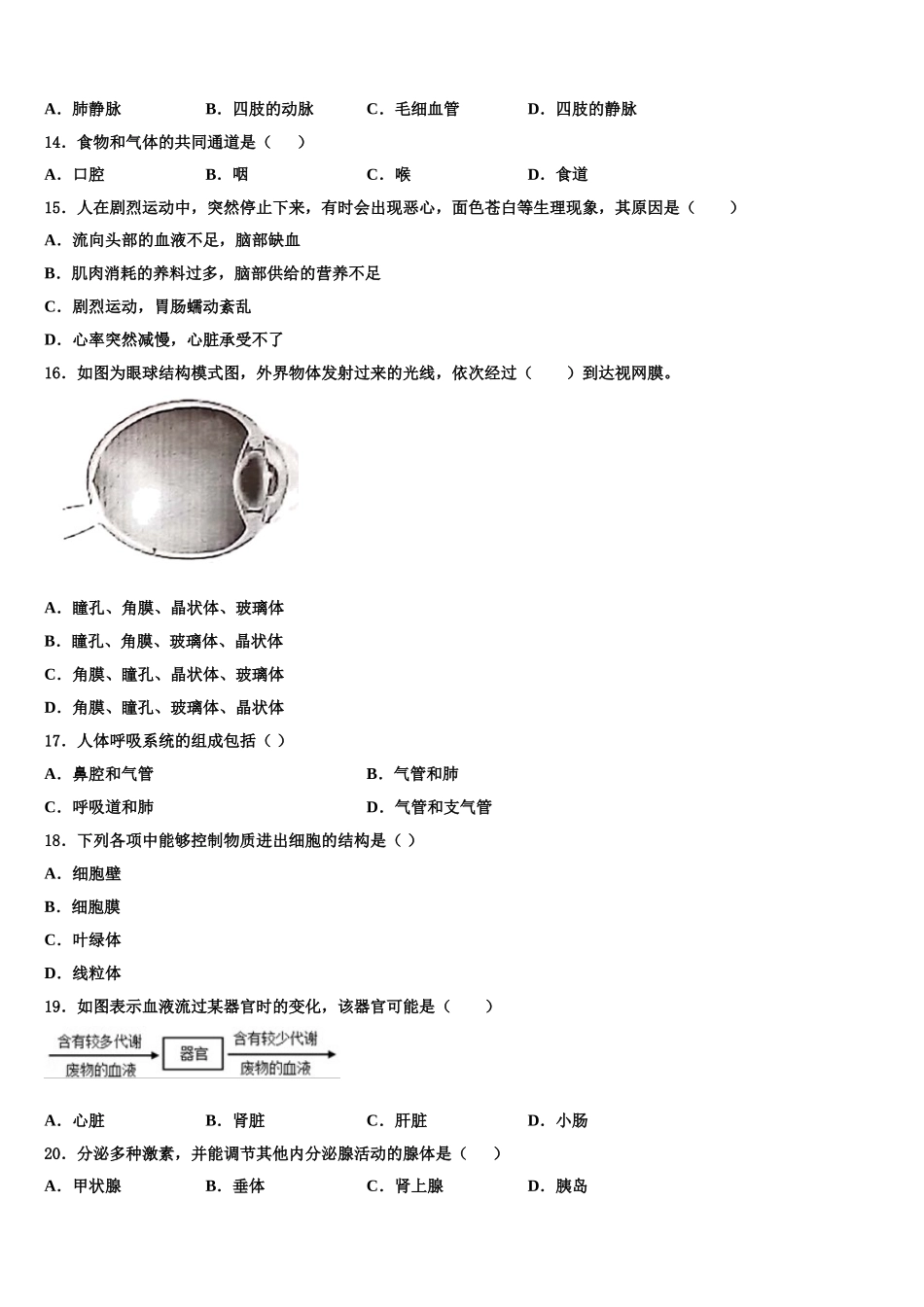 云南省牟定县茅阳中学2024-2025学年生物七年级第二学期期末质量检测试题含解析_第3页