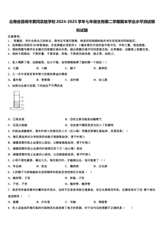 云南省昆明市黄冈实验学校2024-2025学年七年级生物第二学期期末学业水平测试模拟试题含解析