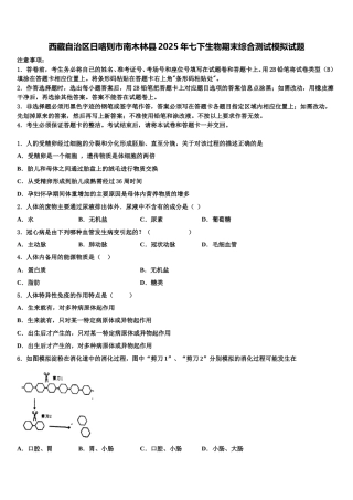 西藏自治区日喀则市南木林县2025年七下生物期末综合测试模拟试题含解析