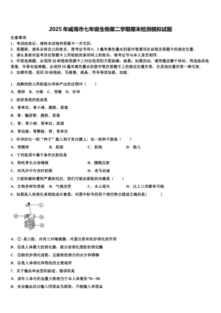 2025年威海市七年级生物第二学期期末检测模拟试题含解析