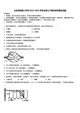 山东省邹城八中学2024-2025学年生物七下期末统考模拟试题含解析