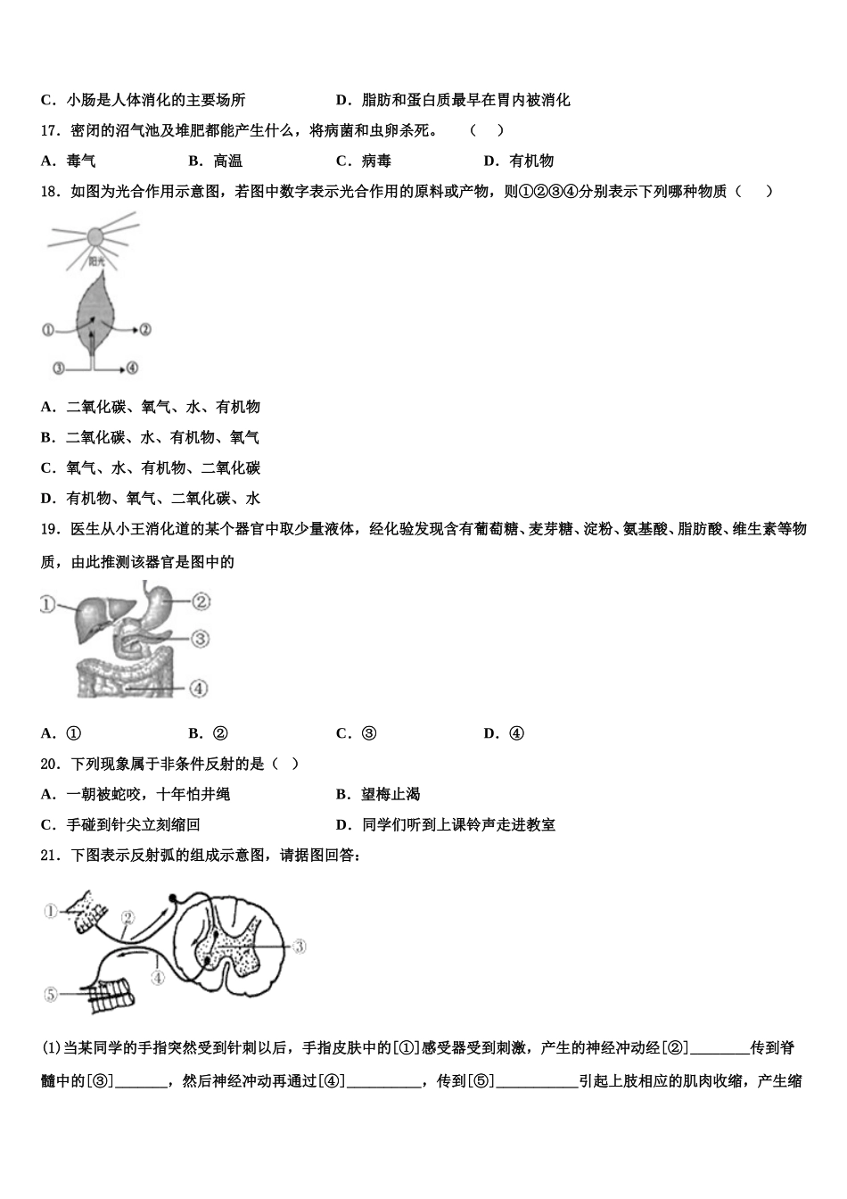 山东省日照实验中学2024-2025学年七年级生物第二学期期末监测试题含解析_第3页