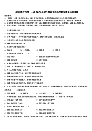 山东省枣庄市四十一中2024-2025学年生物七下期末质量检测试题含解析