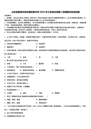 山东省肥城市湖屯镇初级中学2025年七年级生物第二学期期末检测试题含解析