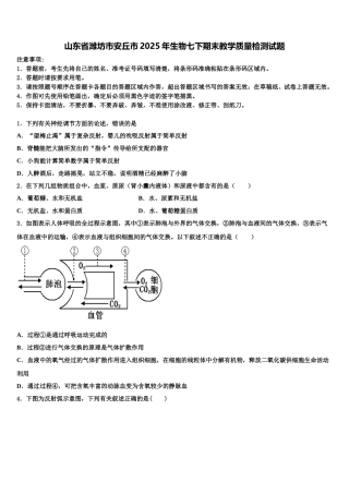山东省潍坊市安丘市2025年生物七下期末教学质量检测试题含解析
