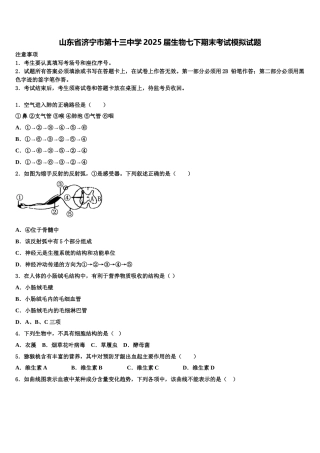 山东省济宁市第十三中学2025届生物七下期末考试模拟试题含解析