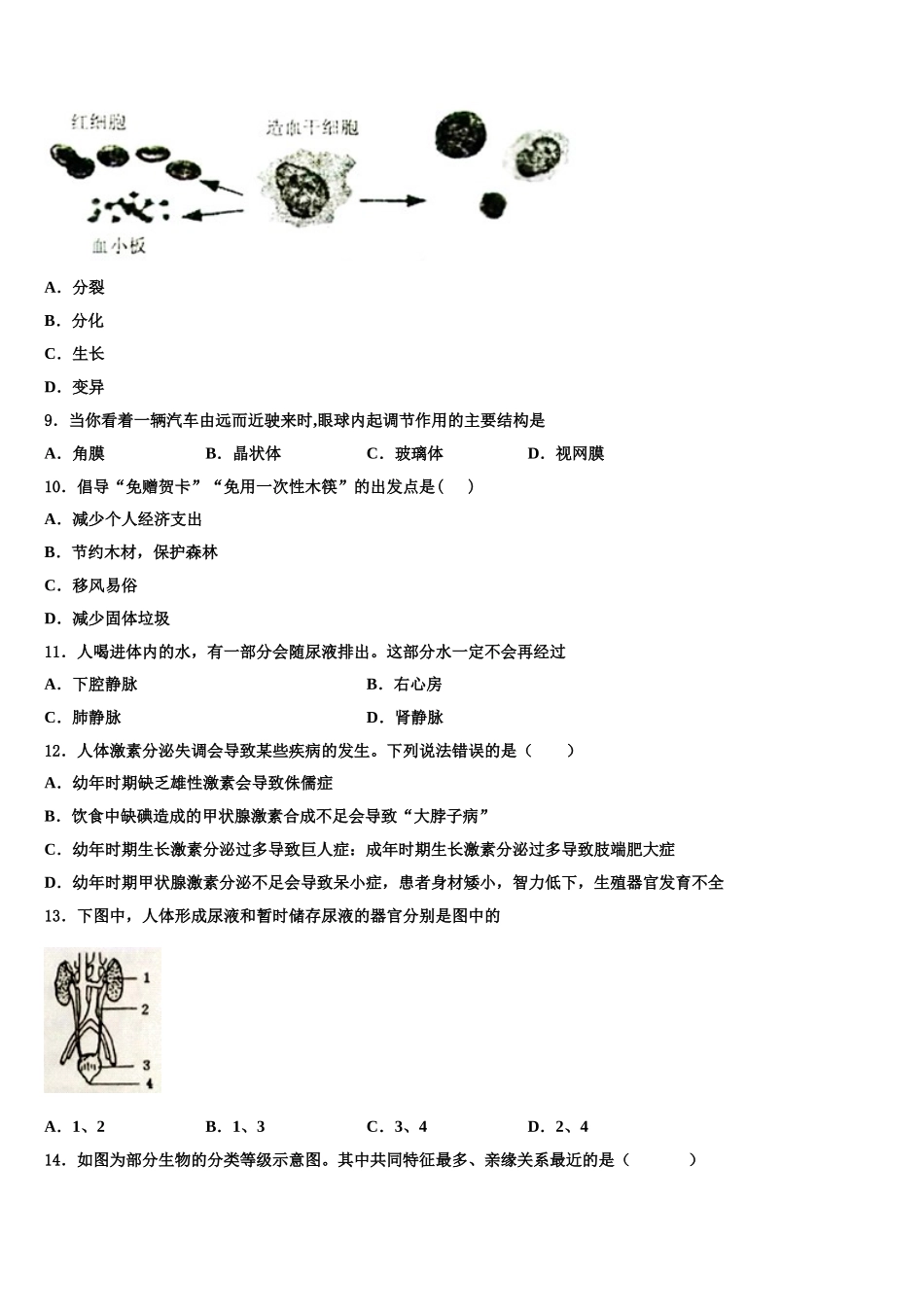 2025年山东省泰安市新城实验中学生物七下期末调研模拟试题含解析_第2页