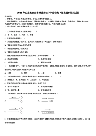 2025年山东省泰安市新城实验中学生物七下期末调研模拟试题含解析