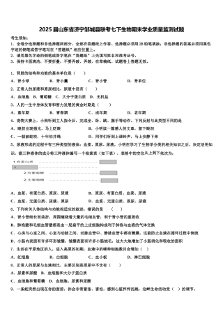 2025届山东省济宁邹城县联考七下生物期末学业质量监测试题含解析