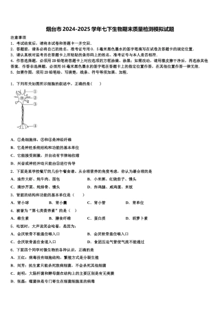 烟台市2024-2025学年七下生物期末质量检测模拟试题含解析