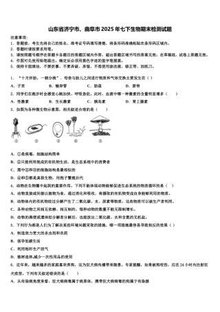 山东省济宁市、曲阜市2025年七下生物期末检测试题含解析