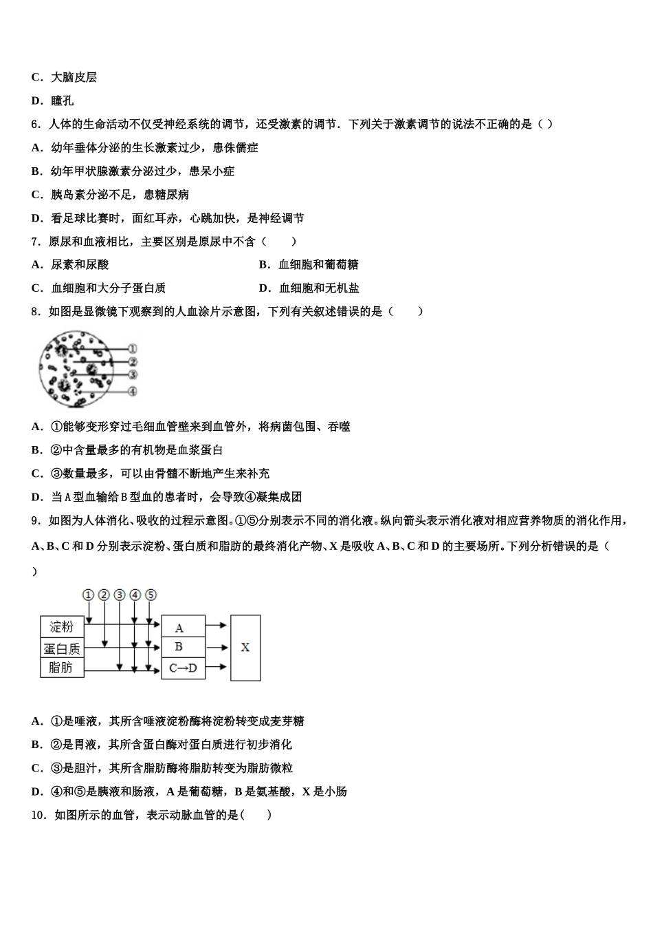 2024-2025学年山东省青岛二十六中学七下生物期末经典试题含解析_第2页