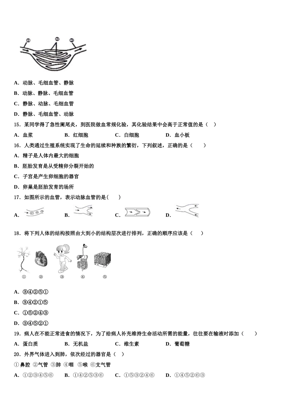 山东省滨州市五校联合2025届生物七年级第二学期期末质量跟踪监视模拟试题含解析_第3页