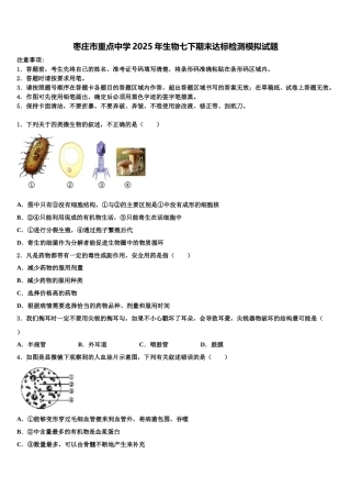 枣庄市重点中学2025年生物七下期末达标检测模拟试题含解析