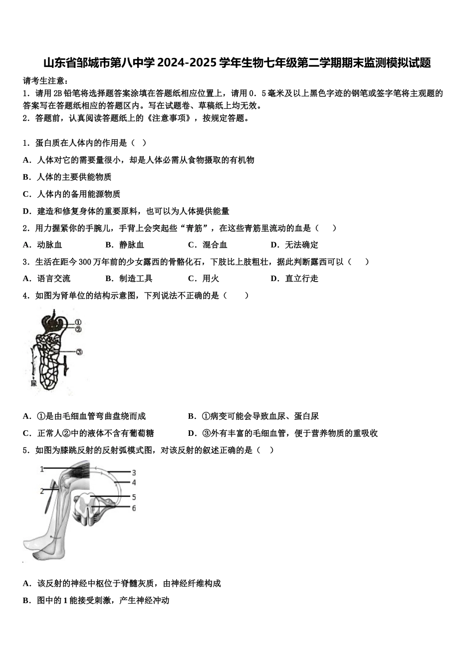 山东省邹城市第八中学2024-2025学年生物七年级第二学期期末监测模拟试题含解析_第1页
