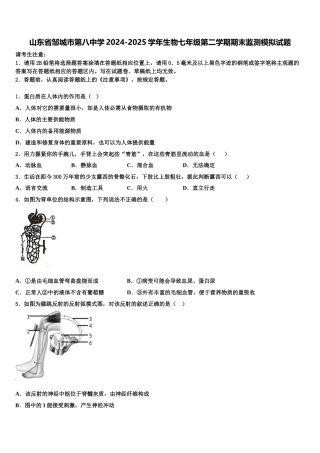 山东省邹城市第八中学2024-2025学年生物七年级第二学期期末监测模拟试题含解析