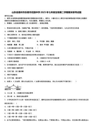 山东省德州市乐陵市花园中学2025年七年级生物第二学期期末联考试题含解析