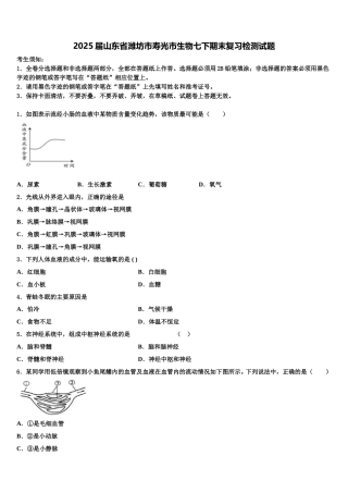 2025届山东省潍坊市寿光市生物七下期末复习检测试题含解析