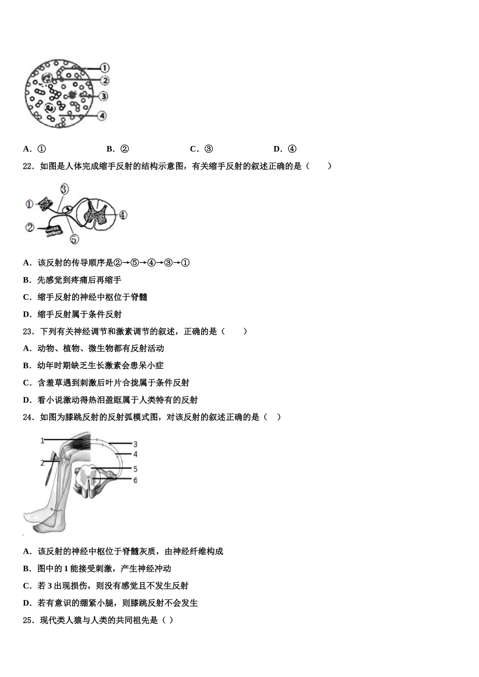 2025年山东省潍坊市寿光世纪学校七下生物期末监测试题含解析_第3页